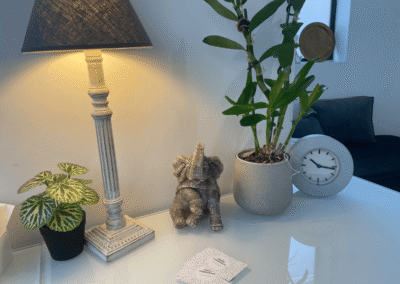 Objets du cabinet de psychologie TECC Lille Fives